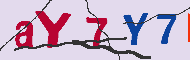 Codigo captcha